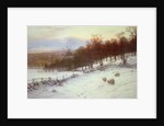 Snow Covered Fields with Sheep by Joseph Farquharson