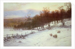Snow Covered Fields with Sheep by Joseph Farquharson