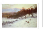 Snow Covered Fields with Sheep by Joseph Farquharson