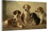 Hounds by Edward Robert Smythe
