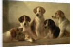 Hounds by Edward Robert Smythe