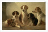 Hounds by Edward Robert Smythe