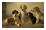 Hounds by Edward Robert Smythe