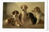 Hounds by Edward Robert Smythe