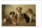 Hounds by Edward Robert Smythe
