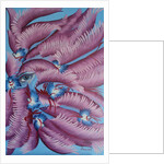 Notification, 2015 by Irina Corduban