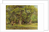 The Forest, 1870 by Camille Pissarro