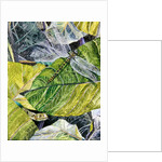 Water Snake and Dragon-fly, 1971 by James Reeve