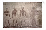 Craftsmen from the South wall of the Mastaba Chapel of Ti, Old Kingdom by Egyptian 5th Dynasty