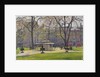 Berkeley Square, London by Julian Barrow