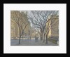 Fifth Avenue and the Met, 2010 by Julian Barrow