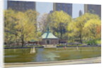 The Boating Lake, Central Park, New York, 1997 by Julian Barrow