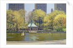 The Boating Lake, Central Park, New York, 1997 by Julian Barrow