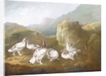 Ptarmigan in a Mountainous Landscape with Sportsmen and Dogs Beyond by Philip Reinagle