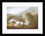 Ptarmigan in a Mountainous Landscape with Sportsmen and Dogs Beyond by Philip Reinagle