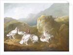 Ptarmigan in a Mountainous Landscape with Sportsmen and Dogs Beyond by Philip Reinagle