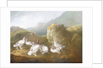 Ptarmigan in a Mountainous Landscape with Sportsmen and Dogs Beyond by Philip Reinagle