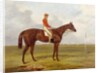 A Portrait of 'The Cossack', Winner of the 1847 Derby with S. Templeman Up, 1847 by Harry Hall