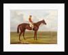 A Portrait of 'The Cossack', Winner of the 1847 Derby with S. Templeman Up, 1847 by Harry Hall