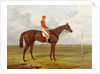 A Portrait of 'The Cossack', Winner of the 1847 Derby with S. Templeman Up, 1847 by Harry Hall
