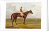 A Portrait of 'The Cossack', Winner of the 1847 Derby with S. Templeman Up, 1847 by Harry Hall