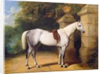 A Grey Horse by Park Gates, 1851 by Henry Barraud