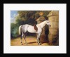 A Grey Horse by Park Gates, 1851 by Henry Barraud