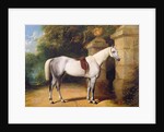 A Grey Horse by Park Gates, 1851 by Henry Barraud