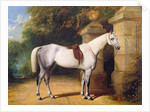 A Grey Horse by Park Gates, 1851 by Henry Barraud