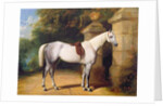 A Grey Horse by Park Gates, 1851 by Henry Barraud