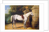 A Grey Horse by Park Gates, 1851 by Henry Barraud