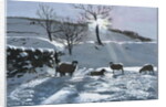 Winter Afternoon at Dentdale, 1991 by John Cooke