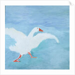 Wait for me! Coedwynog, West Wales, 2000 by Jacob Sutton