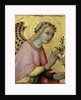 L'Ange de l'Annonciation, Detail by Sano di also Ansano di Pietro di Mencio Pietro