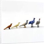 5 birds from a Noah's ark, c.1840 by German School