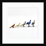 5 birds from a Noah's ark, c.1840 by German School