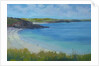 Thurlestone Beach, calm summer day, 2016 by Jennifer Wright