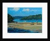Salcombe Mill Bay by Jennifer Wright