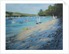 Salcombe Fishermans Cove, blue & white sail by Jennifer Wright
