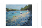 Salcombe Fishermans Cove, blue & white sail by Jennifer Wright