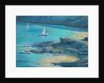 Salcombe Starehole Bay by Jennifer Wright