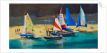 Salcombe Smalls Cove Dinghies by Jennifer Wright