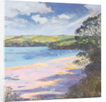 Salcombe, The Bag, 1998 by Jennifer Wright