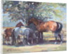 Horses - Summer Flies, 1990 by Jennifer Wright