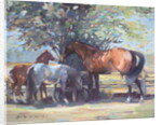 Horses - Summer Flies, 1990 by Jennifer Wright