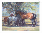 Horses - Summer Flies, 1990 by Jennifer Wright