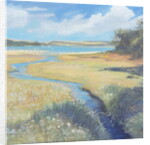 Kingsbridge Estuary, 2008 by Jennifer Wright
