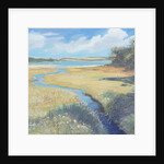 Kingsbridge Estuary, 2008 by Jennifer Wright