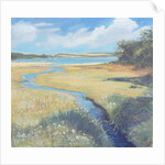 Kingsbridge Estuary, 2008 by Jennifer Wright