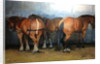 Horses - Heavy Horses - Chertsey Show, 2012 by Jennifer Wright